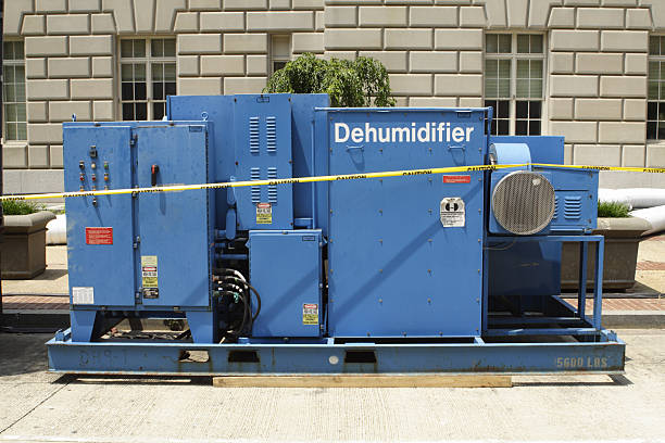 How Does an Industrial Dehumidifier Support Efficiency and Environmental Control in Large Facilities