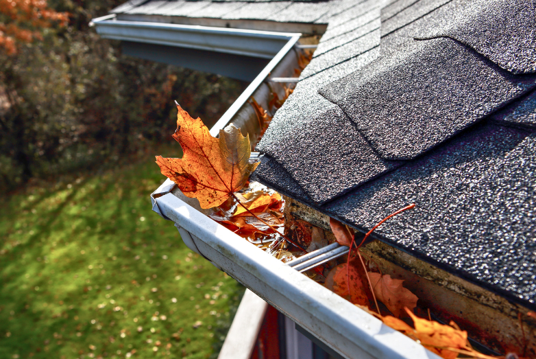 Expert Gutter Repair Central Coast – Fix Leaks, Sagging & Blockages
